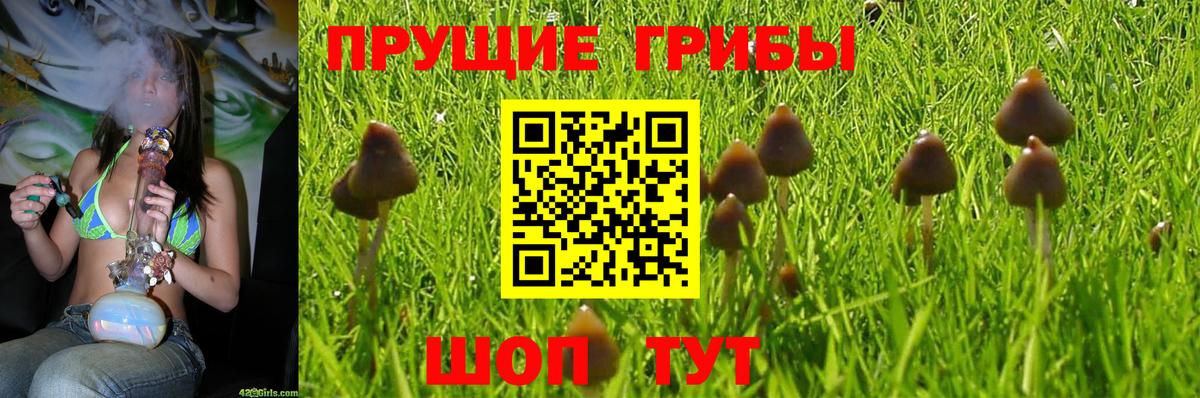 Луга  Галлюциногенные грибы Magic Shrooms  Вход с VPN 