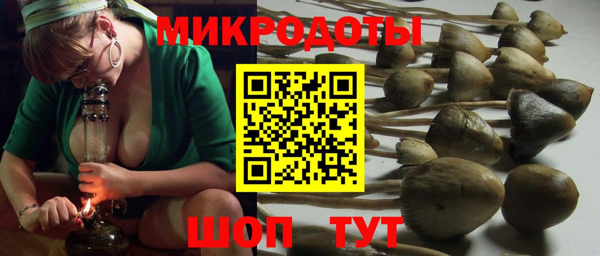 Псилоцибиновые грибы GOLDEN TEACHER Луга